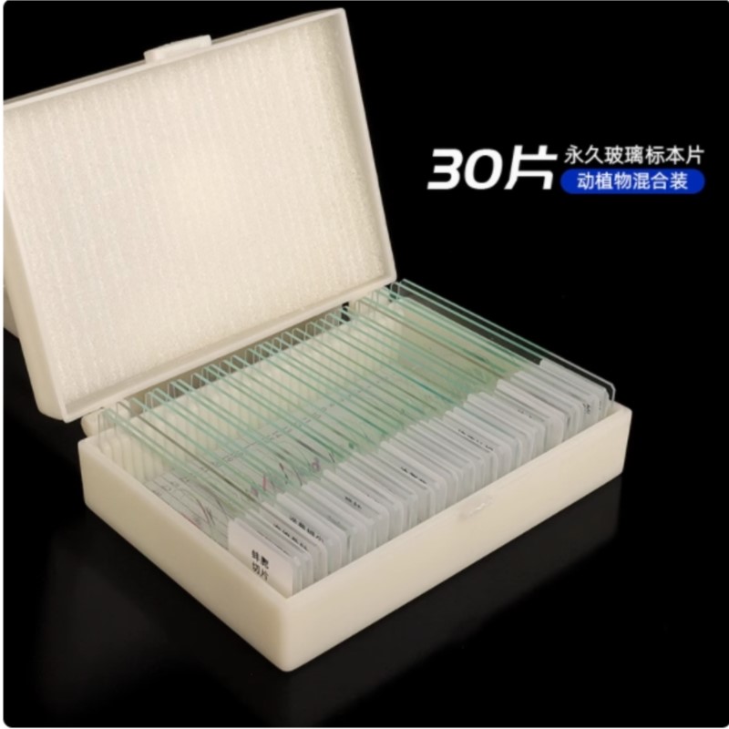 Medical Laboratory Technology - Biology 30-200PCS Prepared Biological Basic Science