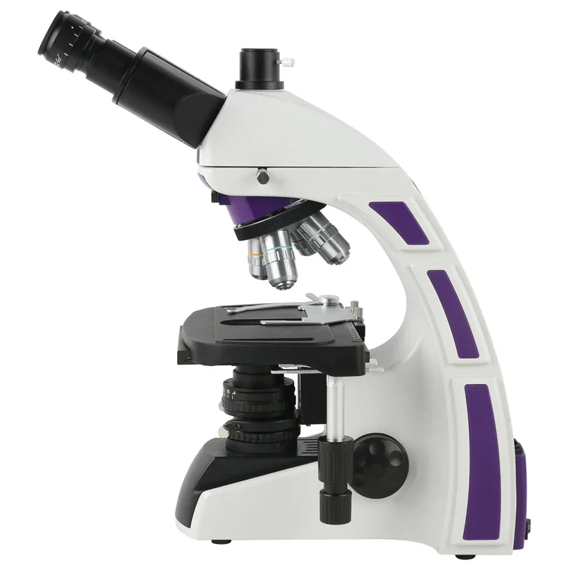 1000X Lab Medical Scientific R - Medical Laboratory Technology 评论和价格